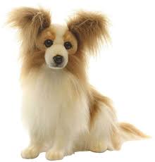 Hansa 16 Papillion Dog Plush Toy Papillion Dog Papillon Dog Dogs