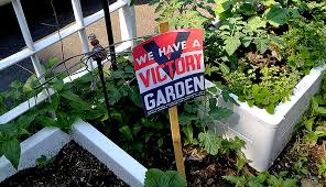 Victory Gardens: An Independence Day Salute to Self-Sufficiency ...