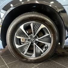 Image result for Black Onyx 2024 RZ