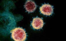 Food and drug administration said monday. Biontech Says No Evidence Its Jabs Need Adapting For Variants