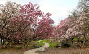 Interactive map · verified guest reviews · loyalty program Spring Blossoms At Eden Park 365 Cincinnati