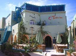 See 229 traveller reviews, 71 photos, and cheap rates for turtle's inn, ranked #18 of 19 hotels in el gouna and rated 4.5 of 5 at tripadvisor. Turtle S Inn Picture Of Turtle S Inn El Gouna Tripadvisor