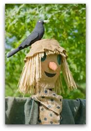 Image result for scarecrow making in pictures of scarecrows