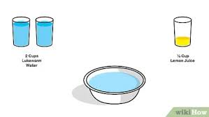 Flush the area with water. How To Remove A Coffee Stain From Carpet 10 Steps With Pictures
