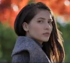 73 BAB IV PENYAJIAN DAN ANALISIS DATA A. Kisah Di Balik Layar 1. Profil  Rumah Produksi Maxima Pictures Gambar 4.1 : Logo Maxima