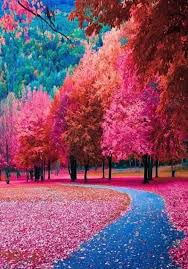 Fondo de pantalla color negro. Imagenes De Fondos De Pantalla Hd 4k Bonitos Y Chulos