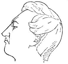 Being contemptuous of someone or something means that you're combining a deep dislike for them with condescension. File Psm V36 D705 Contemptuous Wrinkled Facial Expression Jpg Wikimedia Commons