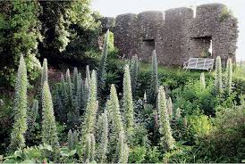 Read more tips about australian garden and landscaping ideas and raised planters beds solutions in australia. 10 Garden Ideas To Steal From Australia Gardenista