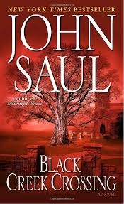 Black Creek Crossing By John Saul Horror Novel Novels Horror Books