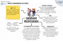 Grátis: ARTIGO5DACF 88-RESUMODODIREITO - Material Claro e Objetivo em PDF  para Estudo Rápido
