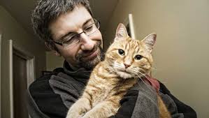 How To Pick Up And Hold A Cat