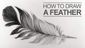 Pin On Feather