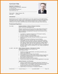 u s resume format professional resume