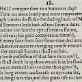 Shall I compare thee to a summer's day?