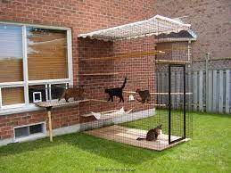 Outside Kitty Enclosures For Your Inside Cats To Have A Fun Outside Area This Site Has A Ton Of Pictures Outdoor Cats Cat Cages Inside Cat