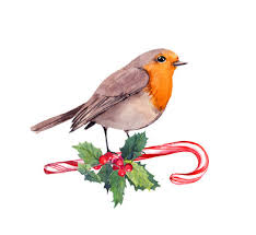Robin Bird Cartoon Stock Photos And Royalty Free Images Vectors And Illustrations Adobe Stock 💡 how to buy robin bird — choose a quantity of robin bird cartoon. robin bird cartoon stock photos and