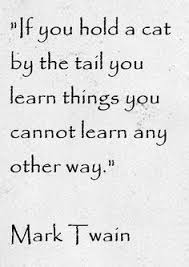 Explanation of the famous quotes in the adventures of huckleberry finn, including all important speeches, comments, quotations, and monologues. Kevin Adams Kevadams1954 Profile Pinterest
