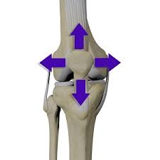 Image result for Patella Tracking Assessment