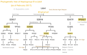 Haplogroup R1a Y Dna Eupedia