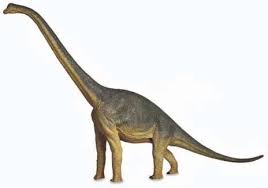 Long Neck Brachiosaurus Dinosaur This Dinosaur Was The Largest Animal That Lived On Earth S Land Dinosaur Large Animals Brachiosaurus