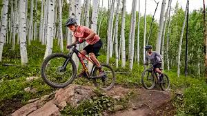 The best mountain bike brands from 2021 have shown us quality, durability, and the need for speed. The Best Mountain Bikes For Beginners Bike Perfect