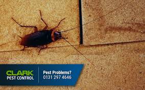 6,909 likes · 195 talking about this · 151 were here. Pest Control Gorebridge Clark Pest Control Edinburgh