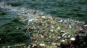 Maybe you would like to learn more about one of these? Aksi Untuk Mengatasi Sampah Laut Persoalan Serius Nan Mengkhawatirkan