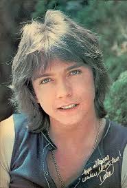 The layers make the hair full around the crown, and the hair thins to fringes around the edges. David Cassidy Hairstyles Classic Men S Shag Haircuts Cool Men S Hair