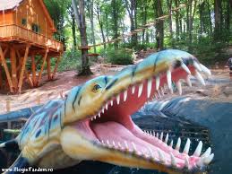 Panourile de informatii te astepta cu detalii pe care poate nu le cunosteai despre ei si vei afla ce mancau, in ce zona traiau si in. In Vizita La Dinoparc In Rasnov Blog In Tandem