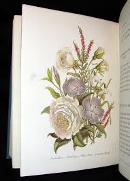 Language of flowers book anne with an e. 1880 Rare Floriography Book The Language Of Flowers By Robert Tyas Color Illustrated Mflibra Antique Books