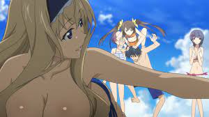 Don't get distracted. Look what Rin's doing. : r/InfiniteStratos