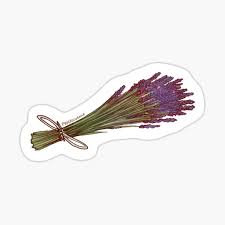 Dried Flowers Stickers Redbubble Find over 100+ of the best free aesthetic images. redbubble