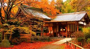 Lebih dari 13.000 atlet bersaing di olimpiade musim panas dan musim dingin di 33 olahraga yang berbeda dan hampir 400 pertandingan. Lokasi Menarik Menghabiskan Musim Gugur Di Kyoto Jepang Paket Wisata Tour Ke Jepang Semakin Murah Dan Mudah