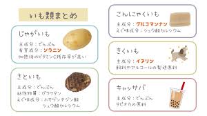 いもはじゃがいもだけじゃない！！いもの種類まとめ | 食品画像のそざい屋さん｜商用可の食べ物フリー画像配布サイト