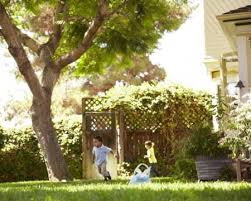 BILL BEAL'S BONDED TREE SVC Reviews