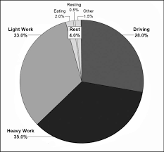 pie chart proportion of tasks performed during an average