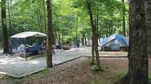 Maybe you would like to learn more about one of these? Where Should I Camp In Great Smoky Mountains Park