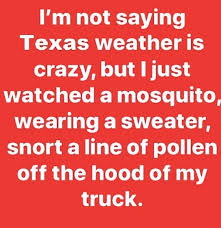 It will be published if it complies with the content rules and our moderators approve it. Austin Com These Memes Illustrate Just How Weird Austin Texas Weather Is