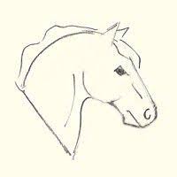 Lets draw a horse head looking straight towards us! How To Draw A Horse S Head