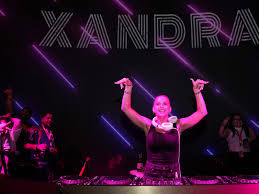 Image result for Olax pentandra