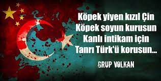 proud to be a turkish panosundaki pin