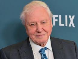 David Attenborough: 19 images celebrate his legendary career as the  cultural icon shares his plans to live to 100