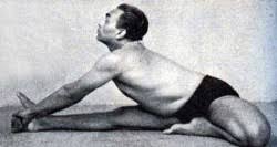 Spotlight On Janu Sirsasana