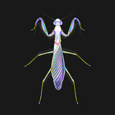 Graphic Mantis