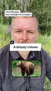 Morgan Bear's Instagram, Twitter & Facebook