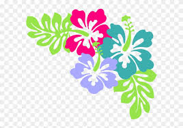 7 flowers borders clipart bunga raya free clip art stock. Hawaii Clipart Bunga Raya Luau Clipart Free Transparent Png Clipart Images Download