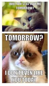 48 Hilarious Funny Pictures Of The Day For You To Laugh Out Loud Page 2 Of 4 Quit Boredom Funny Grumpy Cat Memes Grumpy Cat Grumpy Cat Quotes