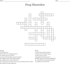 Check spelling or type a new query. Cherah97 Web Like Structure Crossword