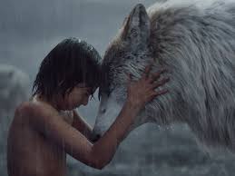 Jungle Book Love Why I Identify With The Flower In Underpants Jungle Book Movie Jungle Book Characters Jungle Book