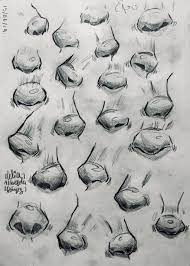 Lia Xin Noses Sketches Sketch Nose Sketches Nose Drawing